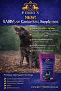 EASIMove Canine Joint Tablets - Green Lipped Mussel & Glucosamine for Dogs