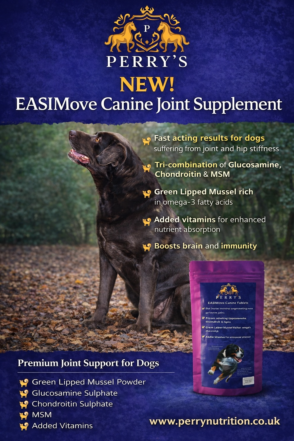 EASIMove Canine Joint Tablets - Green Lipped Mussel & Glucosamine for Dogs