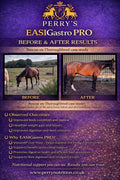 EASIGASTRO Pro