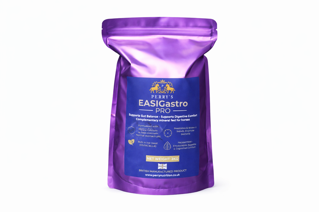 EASIGASTRO Pro