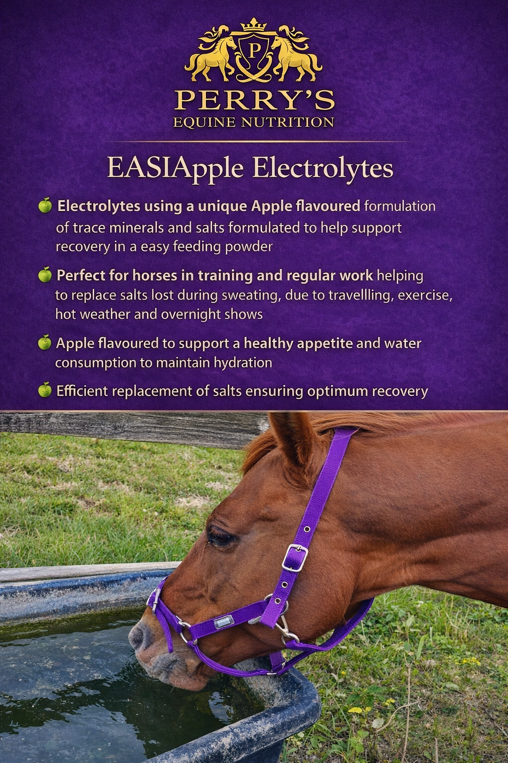 EASIAPPLE Electrolytes