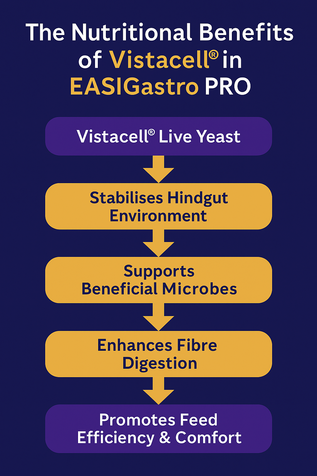 EASIGASTRO Pro