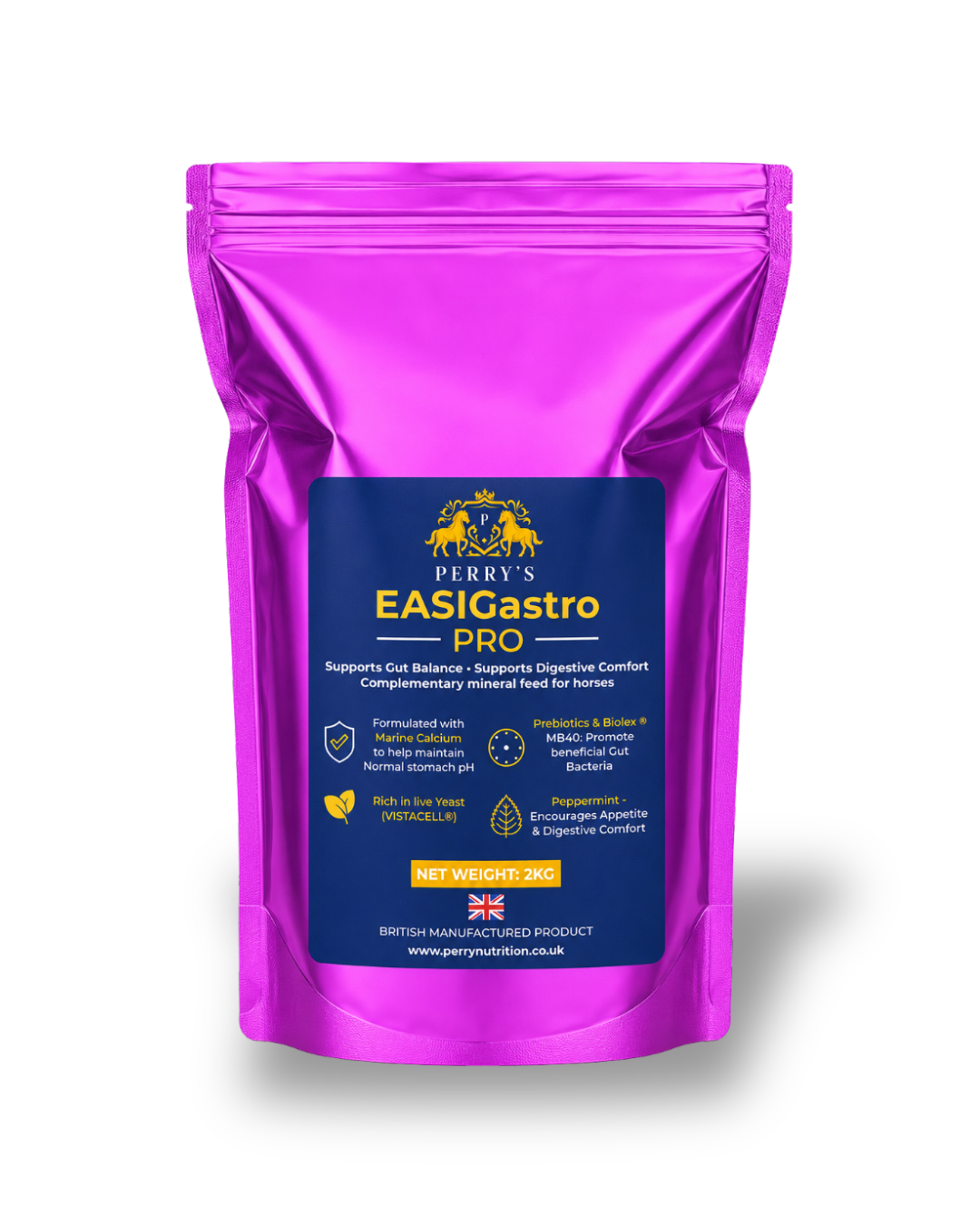 EASIGASTRO Pro