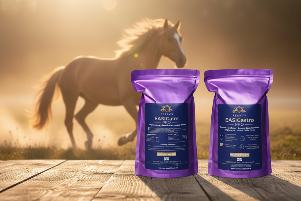 Calm and Gut Bundle - Both Products